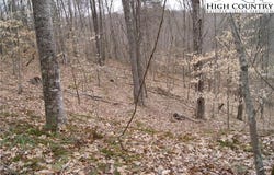 Forest Hill Drive lot: 75, Sparta, NC 28675