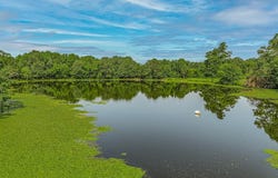 601 CR 3540, Wynne, AR 72396