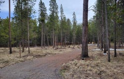 55540 Big River Drive, Bend, OR 97707
