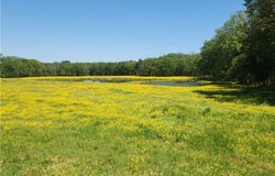 933 Walnut Road, Hector, AR 72843