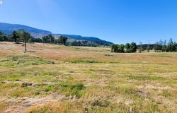 34084 Mt Tom Dr, Harrisburg, OR 97446