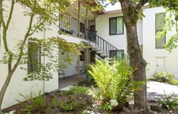 225 2nd Street E, Sonoma, CA 95476