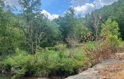 Sawmill Road, Debord, KY 41214