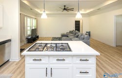 450 Horseshoe Hills Road, Killen, AL 35645
