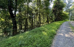 WHISPERING LN, STANLEY, VA 22851
