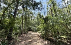 SE Lee Drive, Bogue Chitto, MS 39629