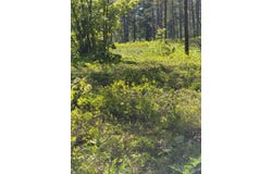 Andrus N Whitefish Point Rd, Paradise, MI 49768