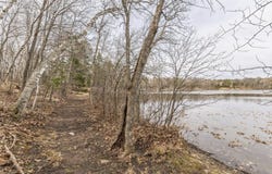 Birch Bay Lane NE, Outing, MN 56662