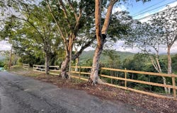Utuado, Utuado, PR 00641