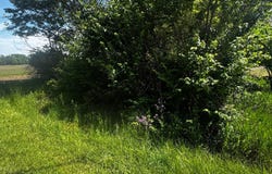 Brown Road, Ostrander, OH 43061
