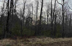 BEST ROAD, Simsboro, LA 71275-0000