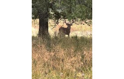 164687 N 4293 Road, Clayton, OK 74536