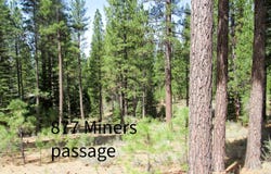 877 Miner's Passage, Clio, CA 96106-0877
