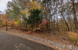 517 Clearwater Circle, Townsend, TN 37882