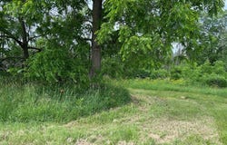 US Hwy 12, Woodville, WI 54028