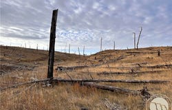 Buckskin Road, Roundup, MT 59072