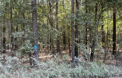 Moran Street, Haughton, LA 71037