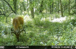 Route O, Green Castle, MO 63544