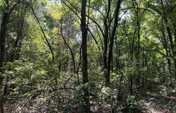 Fairview Drive lot: 0, Harrison, AR 72601
