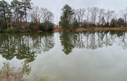 350 Apple Tree Road, HAGUE, VA 22520
