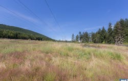 1766 Olson Road, Sequim, WA 98382