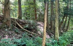 1.1 Trout Run Dr, Altmar, NY 13302