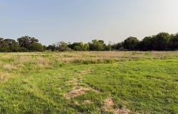 ELM BRANCH lot: 14, Elm Mott, TX 76640