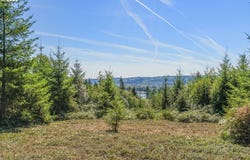Old Tree Farm Dr, Longview, WA 98632