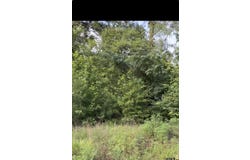 2501 Katherine St, Marshall, TX 75670