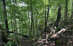 Bobcat Lane lot: 89, Wilder, TN 38589