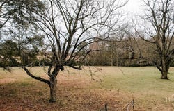 Sandy Cross Road, Lexington, GA 30648