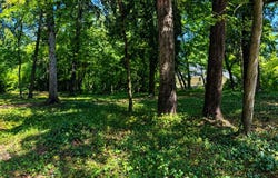 389 AVONDALE CIRCLE, SEVERNA PARK, MD 21146