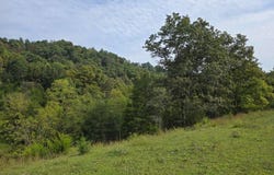 E Pumpkin Valley Road, Eidson, TN 37731