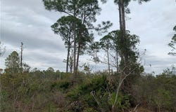 153rd Terrace, Cedar Key, FL 32625