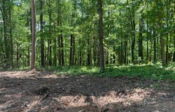 TR 3 Chalcrest Way, Cave Spring, GA 30124