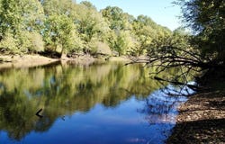 Forest Road Y09, Perryville, AR 72126