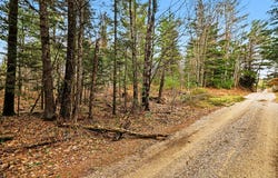 E 48 1/2 Road, Cadillac, MI 49601