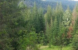 BLK 3 LOT 8 UNIT 1, Bayview, ID 83803