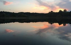 10537 OAK FOREST Drive, Green Oak Twp, MI 48178