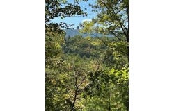 61 Acres Chestnut Valley Road, Vonore, TN 37885
