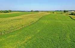 County Rd 22, Houston, MN 55943