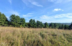 High Rock Hill Road, Pilot, VA 24138