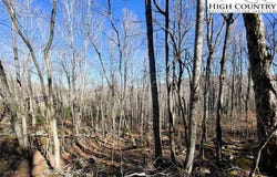 234 Lakeledge Road, Beech Mountain, NC 28604