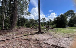 334 REDWOOD Boulevard, GEORGETOWN, FL 32139