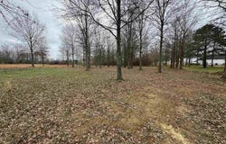 32R River Birch Drive, Guy, AR 72061