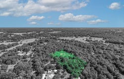County Road 1909, Canton, TX 75117