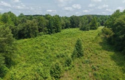 603 Gobbler Dr, HOLLADAY, TN 38341