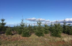 Oakdale Rd, Dallas, OR 97338