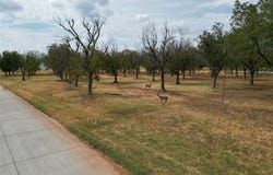1313 Cirrus Loop, Granbury, TX 76049