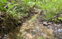 Co Rd 3022, Double Springs, AL 35553